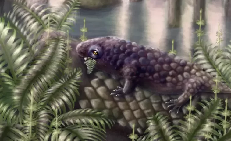 Early Plant-Eating Land Vertebrate