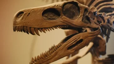 Oldest Dinosaur Fossil