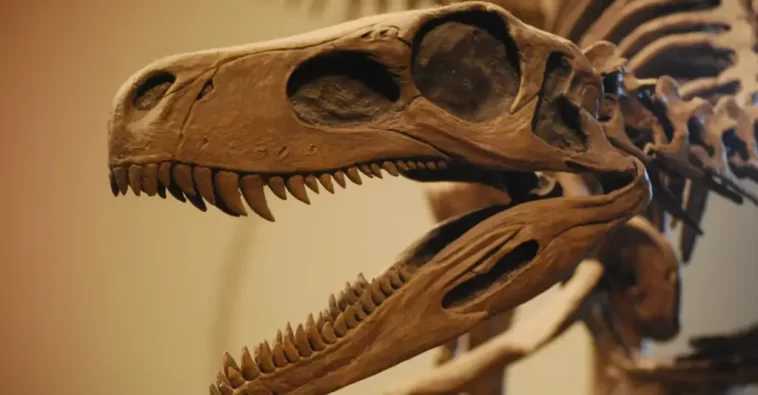 Oldest Dinosaur Fossil