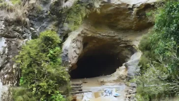 New Zealand Ancient Fossils