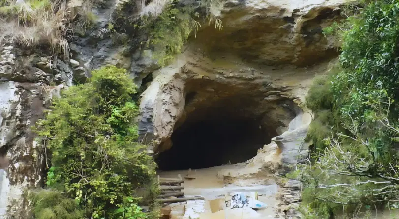 New Zealand Ancient Fossils