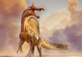 Spinosaurus mirabilis Discovery Shocks Scientists in the Sahara