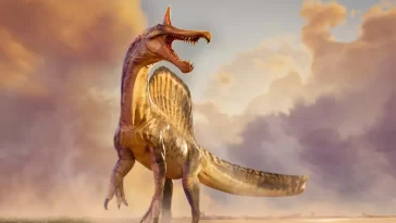 Spinosaurus mirabilis Discovery Shocks Scientists in the Sahara