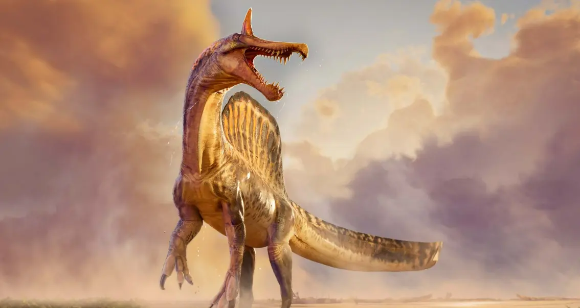 Spinosaurus mirabilis Discovery Shocks Scientists in the Sahara