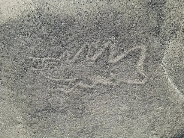 AI Discovers Hundreds of Hidden Nazca Geoglyphs in Peru