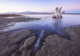 Great Salt Lake Nematodes Discovery Reveals Hidden Life Beneath the Salt