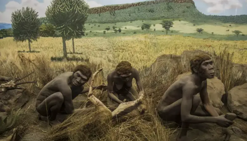 Origin of Human Language Predates Civilization, DNA Shows