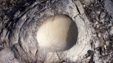 68-Million-Year-Old Dinosaur Egg