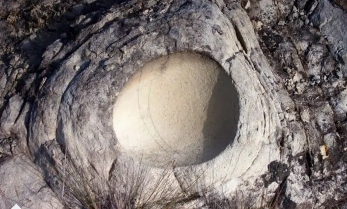 68-Million-Year-Old Dinosaur Egg