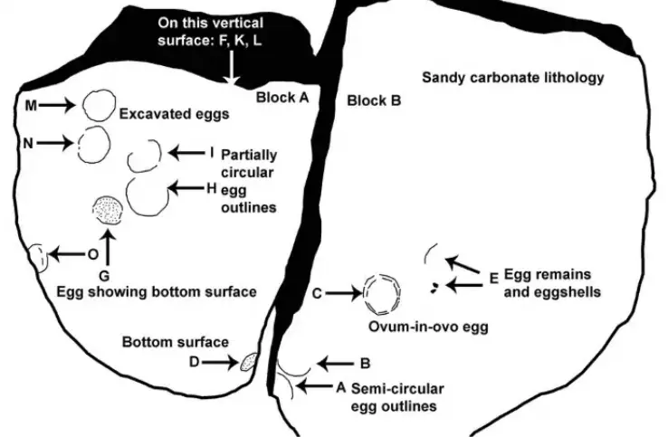 Screenshot 2026 03 09 105551