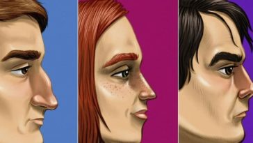 Nose Shape Personality Traits Explained