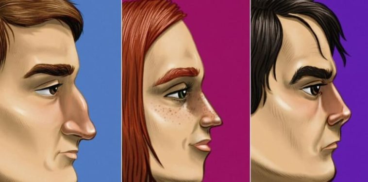 Nose Shape Personality Traits Explained