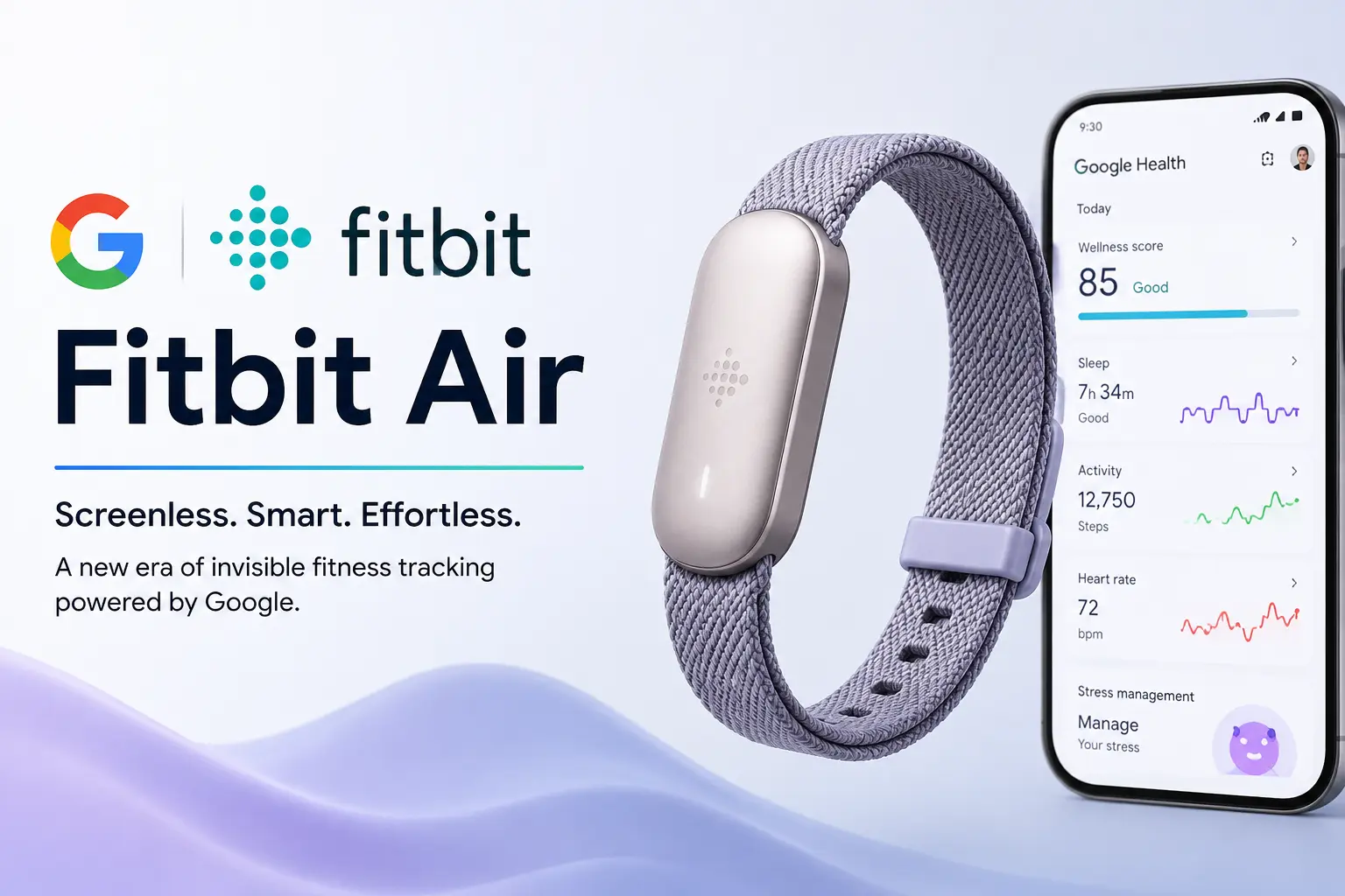 Google Fitbit Air