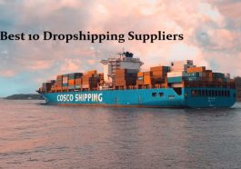Best 10 Dropshipping Suppliers