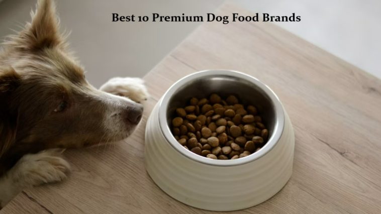 Best 10 Premium Dog Food Brands for Active Breeds in 2026