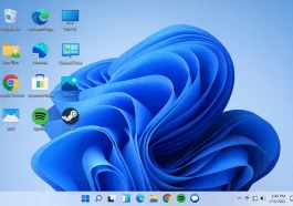 Desktop Icons in Windows 11