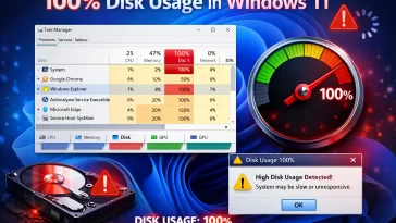 Disk Usage in Windows 11