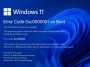 Fix Windows 11