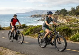 Electric Bikes