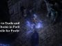 How to Trade and Sell Items in Path of Exile for Profit