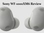 Sony WF-1000XM6 Review
