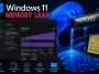 Windows 11 Memory Leak