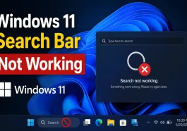 Windows 11 Search Bar Not Working