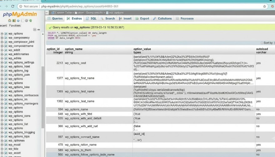 5 Best WordPress Database Optimization Plugins That Actually Work 2 wp_options table