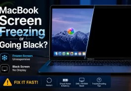 MacBook Screen Freezing