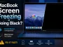 MacBook Screen Freezing