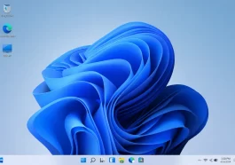 Windows 11 Empty Desktop