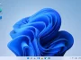 Windows 11 Empty Desktop