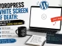 WordPress White Screen of Death How to Fix It Without Losing Your Mind